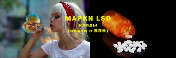 a pvp Абаза