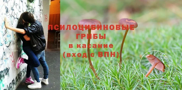 a pvp Абаза
