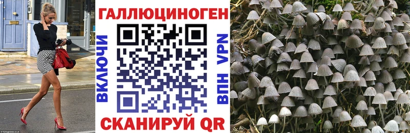 Галлюциногенные грибы GOLDEN TEACHER  KRAKEN как зайти  Заринск 